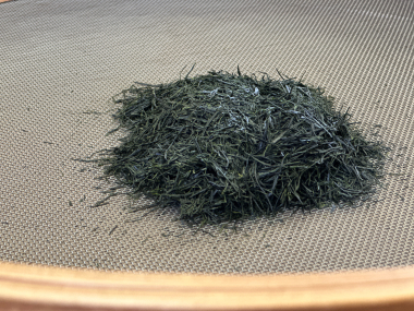 碧園お茶の純平