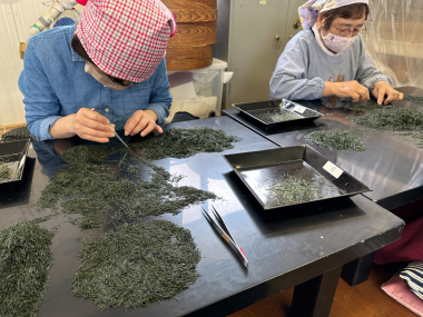 碧園お茶の純平